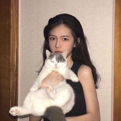 孔明不可以手游下载
